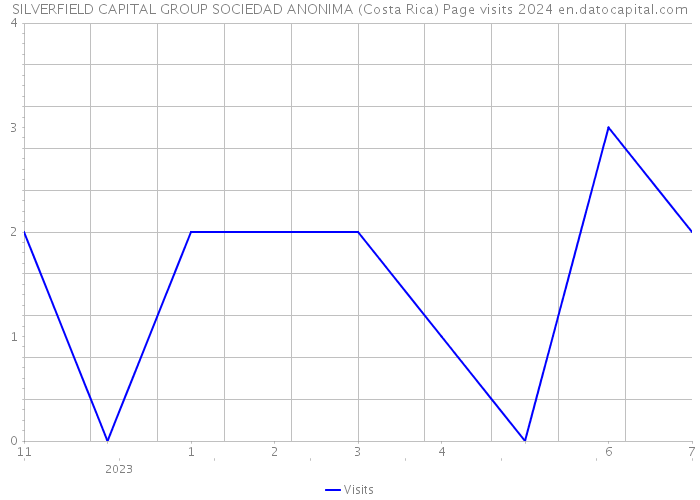 SILVERFIELD CAPITAL GROUP SOCIEDAD ANONIMA (Costa Rica) Page visits 2024 