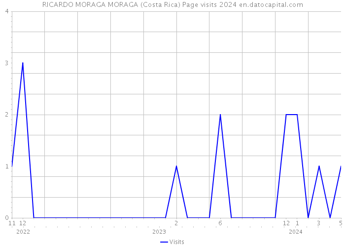 RICARDO MORAGA MORAGA (Costa Rica) Page visits 2024 