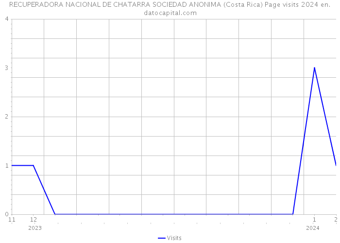 RECUPERADORA NACIONAL DE CHATARRA SOCIEDAD ANONIMA (Costa Rica) Page visits 2024 