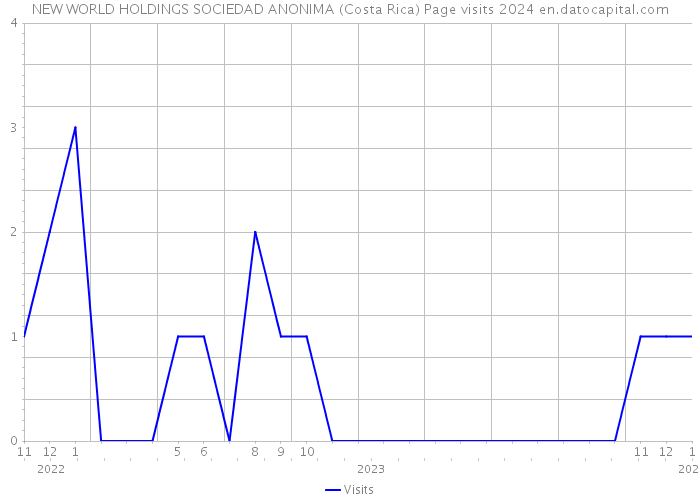NEW WORLD HOLDINGS SOCIEDAD ANONIMA (Costa Rica) Page visits 2024 