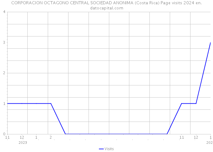CORPORACION OCTAGONO CENTRAL SOCIEDAD ANONIMA (Costa Rica) Page visits 2024 