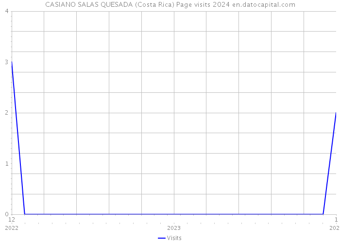 CASIANO SALAS QUESADA (Costa Rica) Page visits 2024 
