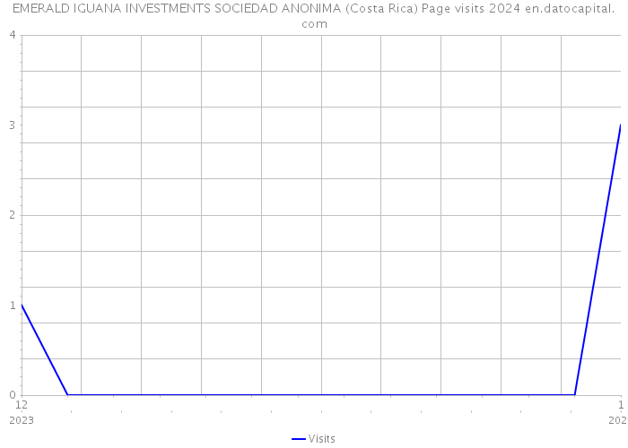 EMERALD IGUANA INVESTMENTS SOCIEDAD ANONIMA (Costa Rica) Page visits 2024 