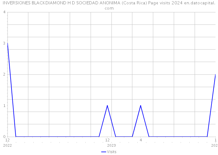 INVERSIONES BLACKDIAMOND H D SOCIEDAD ANONIMA (Costa Rica) Page visits 2024 