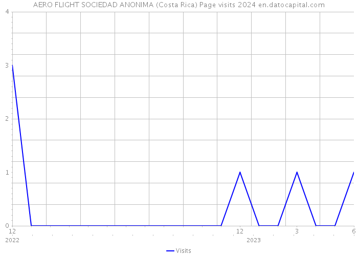 AERO FLIGHT SOCIEDAD ANONIMA (Costa Rica) Page visits 2024 