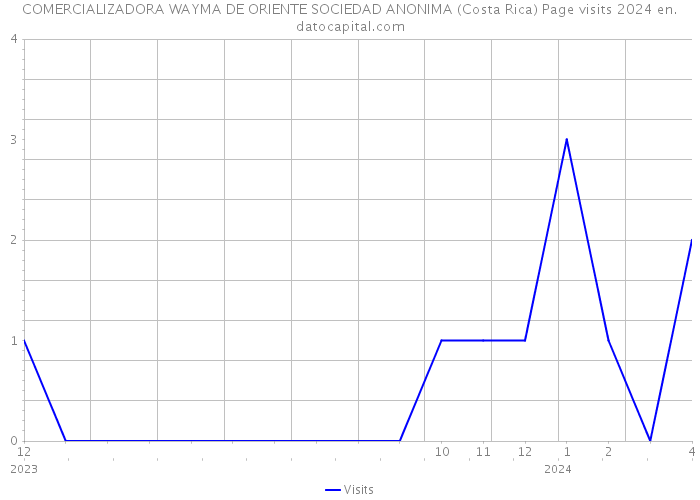 COMERCIALIZADORA WAYMA DE ORIENTE SOCIEDAD ANONIMA (Costa Rica) Page visits 2024 