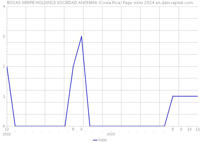 BOCAS SIERPE HOLDINGS SOCIEDAD ANONIMA (Costa Rica) Page visits 2024 