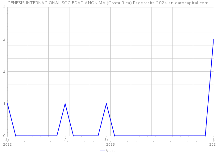 GENESIS INTERNACIONAL SOCIEDAD ANONIMA (Costa Rica) Page visits 2024 