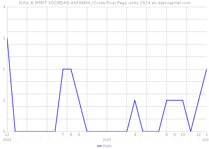 SOUL & SPIRIT SOCIEDAD ANONIMA (Costa Rica) Page visits 2024 