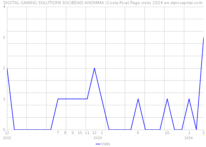 DIGITAL GAMING SOLUTIONS SOCIEDAD ANONIMA (Costa Rica) Page visits 2024 