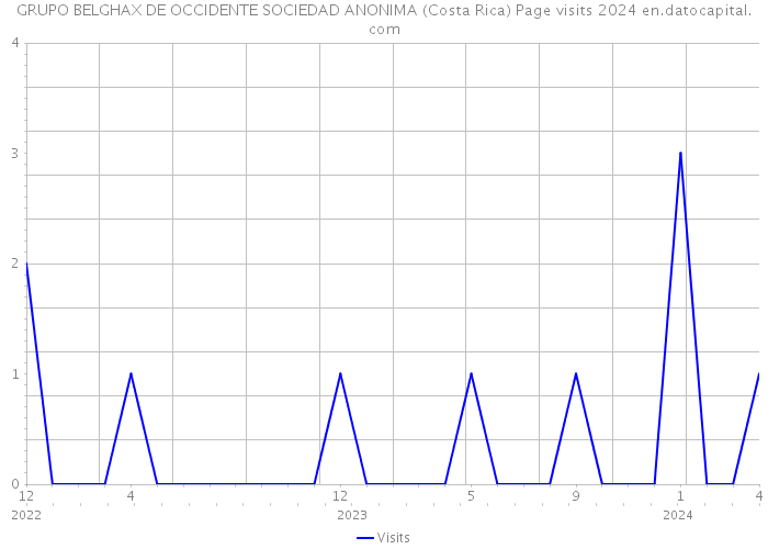 GRUPO BELGHAX DE OCCIDENTE SOCIEDAD ANONIMA (Costa Rica) Page visits 2024 