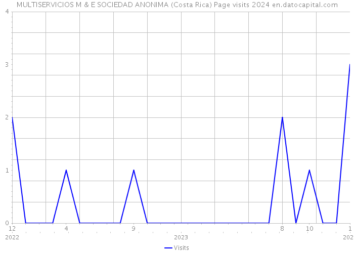MULTISERVICIOS M & E SOCIEDAD ANONIMA (Costa Rica) Page visits 2024 