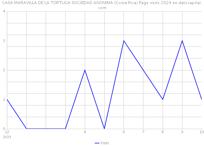 CASA MARAVILLA DE LA TORTUGA SOCIEDAD ANONIMA (Costa Rica) Page visits 2024 