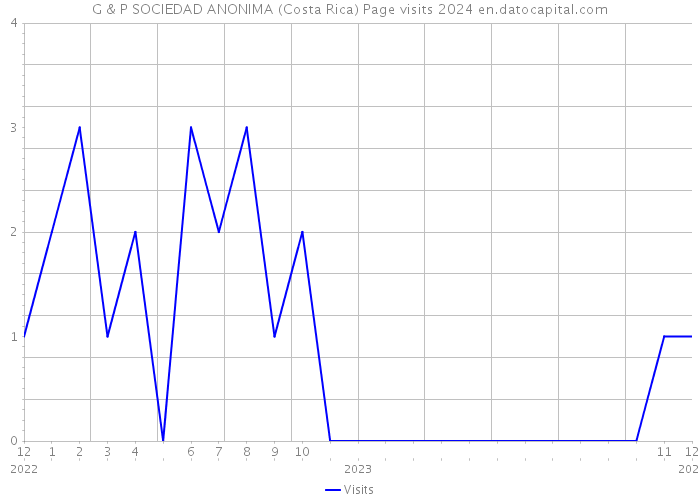 G & P SOCIEDAD ANONIMA (Costa Rica) Page visits 2024 