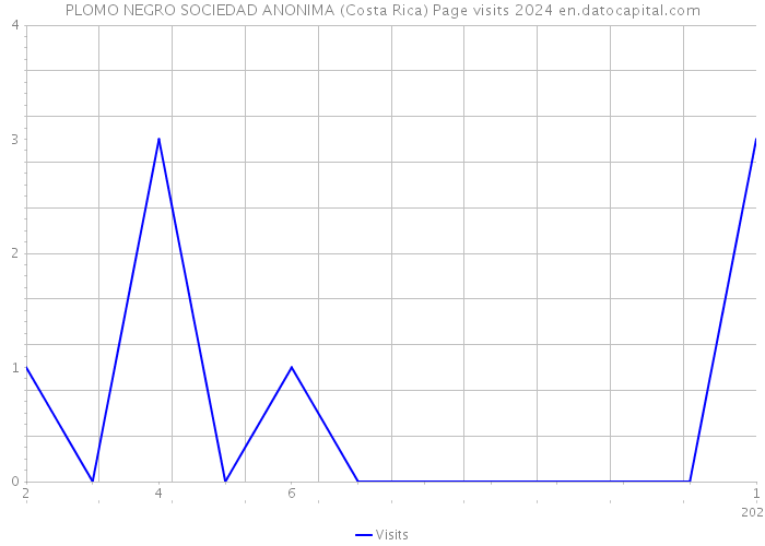PLOMO NEGRO SOCIEDAD ANONIMA (Costa Rica) Page visits 2024 