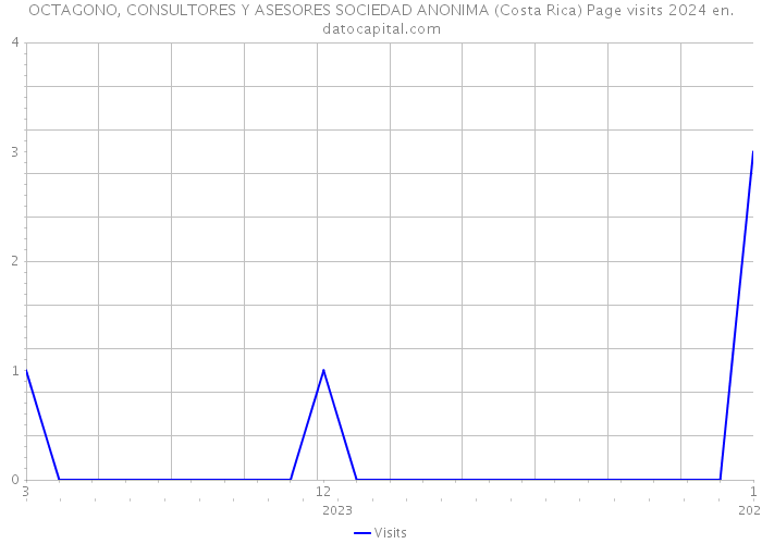 OCTAGONO, CONSULTORES Y ASESORES SOCIEDAD ANONIMA (Costa Rica) Page visits 2024 