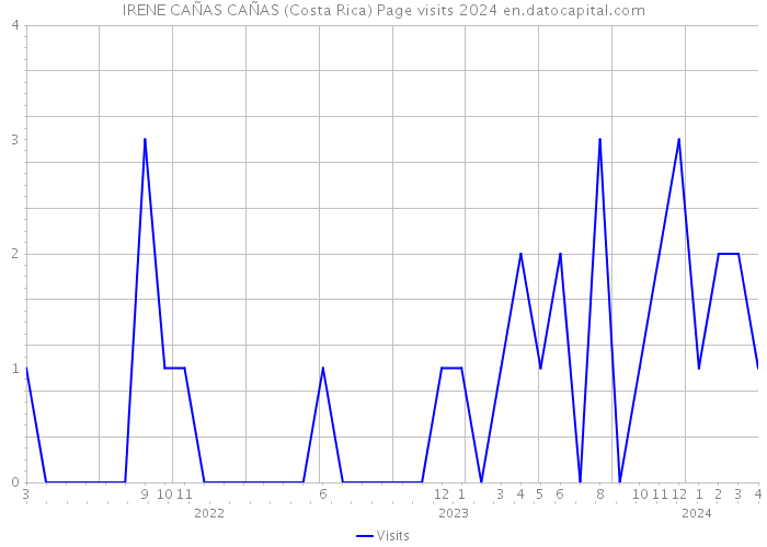 IRENE CAÑAS CAÑAS (Costa Rica) Page visits 2024 