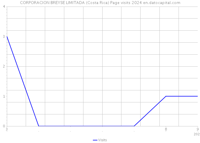 CORPORACION BREYSE LIMITADA (Costa Rica) Page visits 2024 