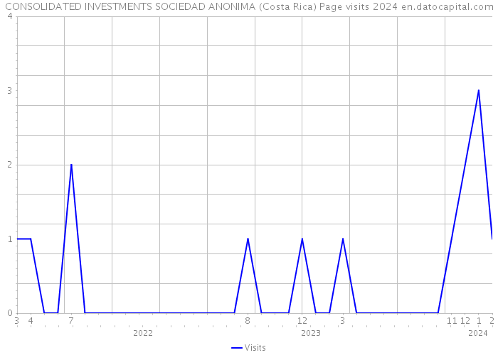 CONSOLIDATED INVESTMENTS SOCIEDAD ANONIMA (Costa Rica) Page visits 2024 