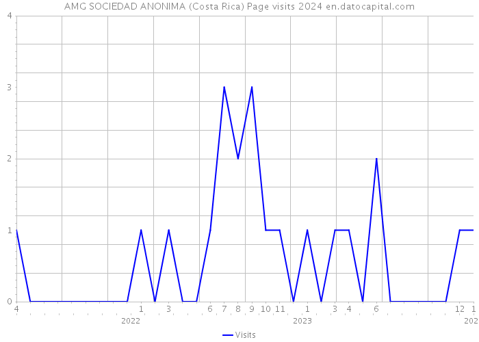 AMG SOCIEDAD ANONIMA (Costa Rica) Page visits 2024 