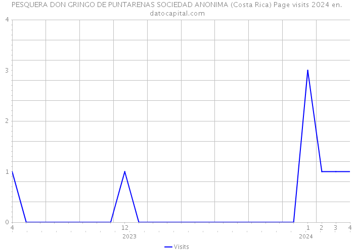 PESQUERA DON GRINGO DE PUNTARENAS SOCIEDAD ANONIMA (Costa Rica) Page visits 2024 