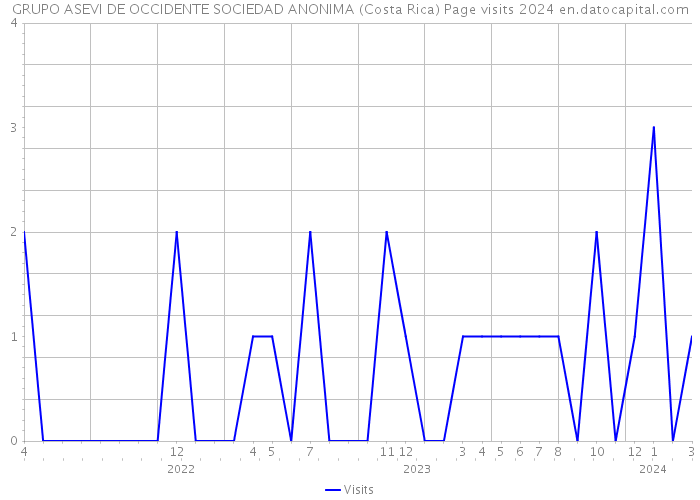 GRUPO ASEVI DE OCCIDENTE SOCIEDAD ANONIMA (Costa Rica) Page visits 2024 