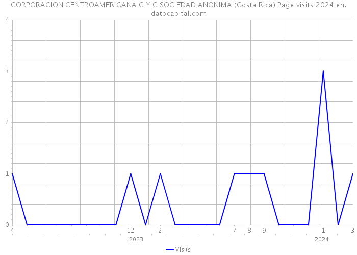 CORPORACION CENTROAMERICANA C Y C SOCIEDAD ANONIMA (Costa Rica) Page visits 2024 