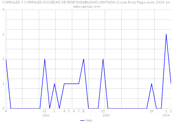 CORRALES Y CORRALES SOCIEDAD DE RESPONSABILIDAD LIMITADA (Costa Rica) Page visits 2024 