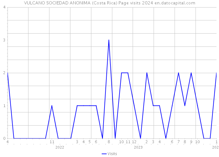 VULCANO SOCIEDAD ANONIMA (Costa Rica) Page visits 2024 