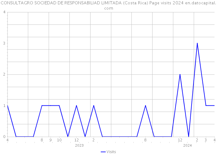 CONSULTAGRO SOCIEDAD DE RESPONSABILIAD LIMITADA (Costa Rica) Page visits 2024 