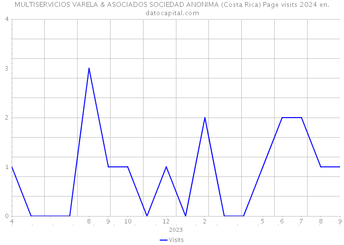 MULTISERVICIOS VARELA & ASOCIADOS SOCIEDAD ANONIMA (Costa Rica) Page visits 2024 