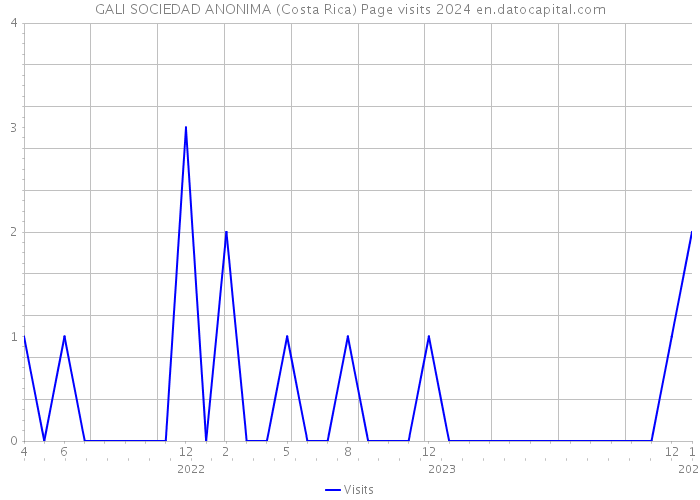 GALI SOCIEDAD ANONIMA (Costa Rica) Page visits 2024 