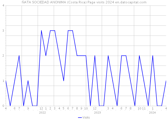 ŃATA SOCIEDAD ANONIMA (Costa Rica) Page visits 2024 