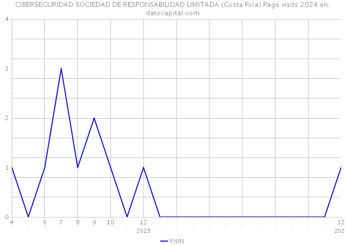 CIBERSEGURIDAD SOCIEDAD DE RESPONSABILIDAD LIMITADA (Costa Rica) Page visits 2024 