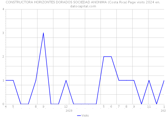 CONSTRUCTORA HORIZONTES DORADOS SOCIEDAD ANONIMA (Costa Rica) Page visits 2024 