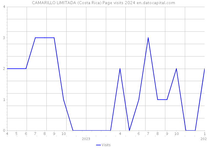 CAMARILLO LIMITADA (Costa Rica) Page visits 2024 