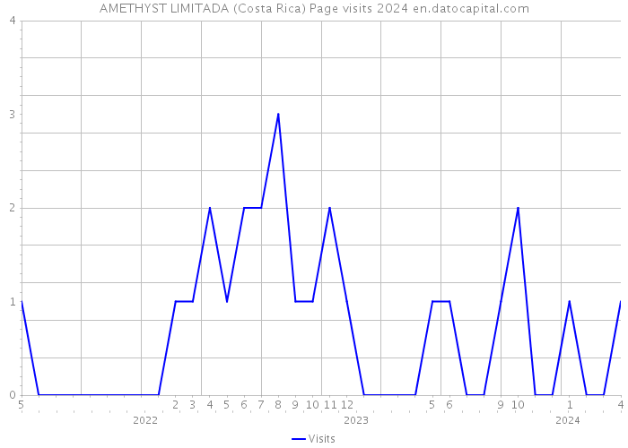 AMETHYST LIMITADA (Costa Rica) Page visits 2024 