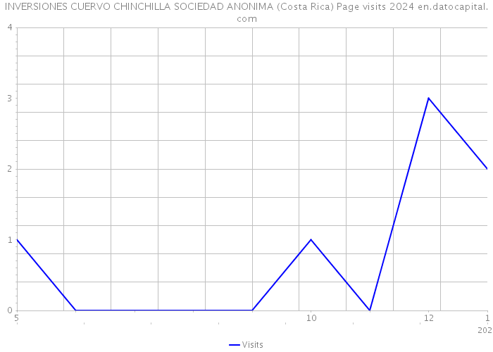 INVERSIONES CUERVO CHINCHILLA SOCIEDAD ANONIMA (Costa Rica) Page visits 2024 