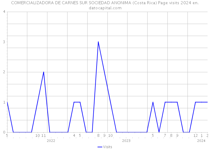 COMERCIALIZADORA DE CARNES SUR SOCIEDAD ANONIMA (Costa Rica) Page visits 2024 