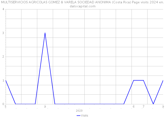 MULTISERVICIOS AGRICOLAS GOMEZ & VARELA SOCIEDAD ANONIMA (Costa Rica) Page visits 2024 