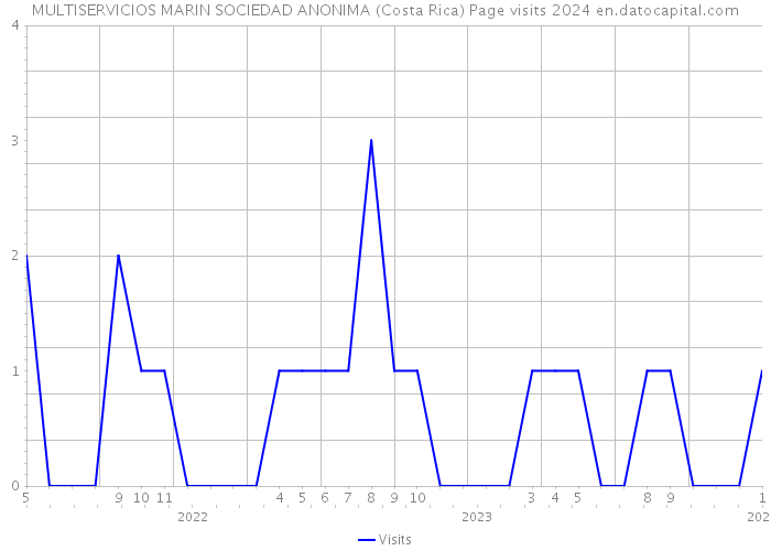 MULTISERVICIOS MARIN SOCIEDAD ANONIMA (Costa Rica) Page visits 2024 
