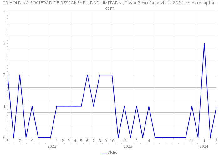 CR HOLDING SOCIEDAD DE RESPONSABILIDAD LIMITADA (Costa Rica) Page visits 2024 