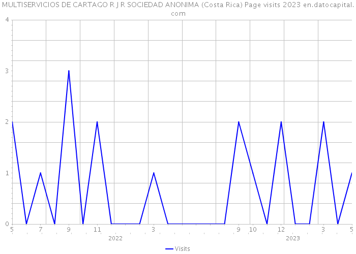 MULTISERVICIOS DE CARTAGO R J R SOCIEDAD ANONIMA (Costa Rica) Page visits 2023 