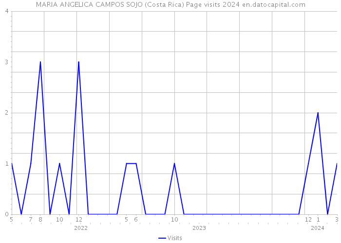 MARIA ANGELICA CAMPOS SOJO (Costa Rica) Page visits 2024 