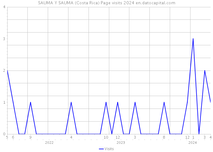 SAUMA Y SAUMA (Costa Rica) Page visits 2024 