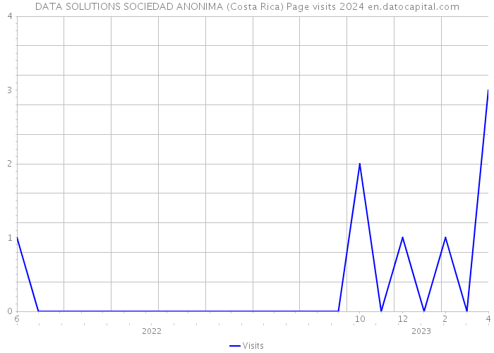 DATA SOLUTIONS SOCIEDAD ANONIMA (Costa Rica) Page visits 2024 