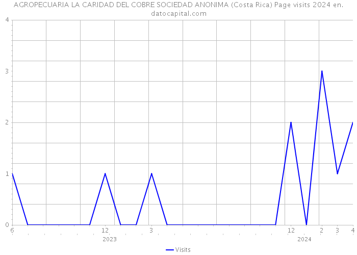 AGROPECUARIA LA CARIDAD DEL COBRE SOCIEDAD ANONIMA (Costa Rica) Page visits 2024 