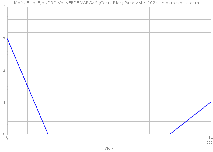 MANUEL ALEJANDRO VALVERDE VARGAS (Costa Rica) Page visits 2024 
