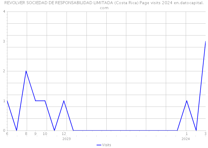 REVOLVER SOCIEDAD DE RESPONSABILIDAD LIMITADA (Costa Rica) Page visits 2024 