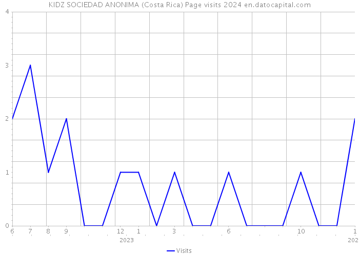 KIDZ SOCIEDAD ANONIMA (Costa Rica) Page visits 2024 